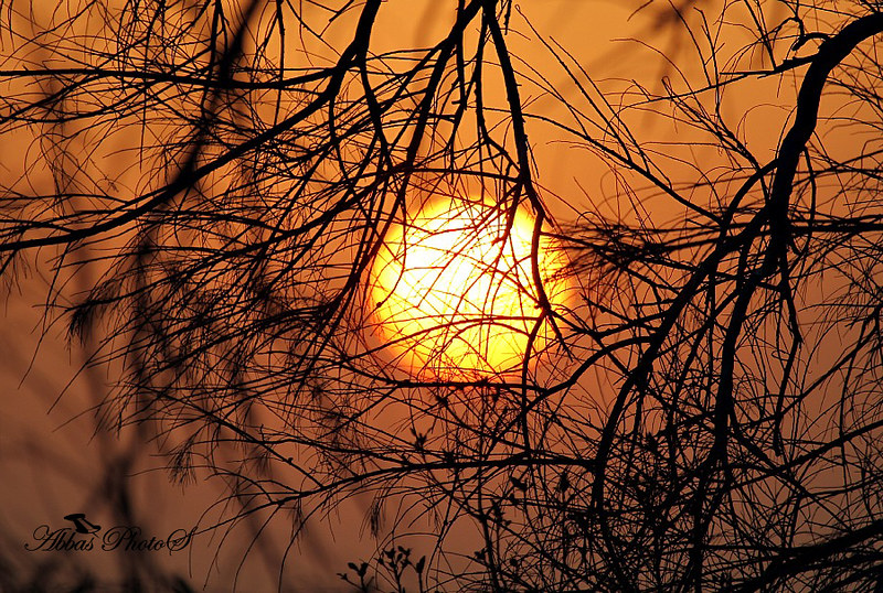 ستُشرق من جديد