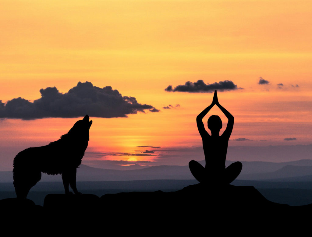 المرحلة الملكية